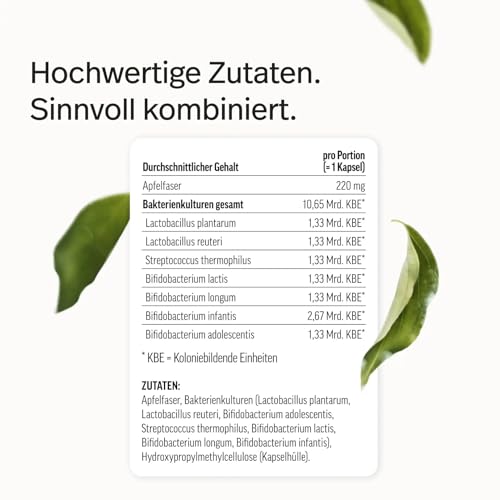 edubily nutrition® Darmbakterien Kapseln mit L. plantarum, L. reuteri, S. thermophilus, B. lactis, B. longum, B. infantis & B. adolescentis - Ohne Inulin - 90 Kapseln