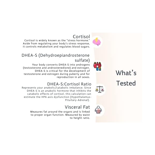 4in1 Cortisol & DHEAS Test Sleep Test Stress Test Adrenal