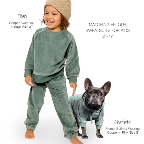Pet Passion Cooper II Organic Cotton Velour Dog Hoodie Pet Coat for Small, Medium and Large Dogs, Sage, Small (10-25 lbs) by Pet Passion - Image 3