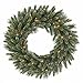 HW Holiday Wonderland 24" Golden Bristle Artificial Wreath, Warm White