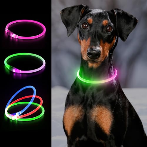 Light up Dog Collar LED Dog Collar USB Rechargeable YFbrite Waterproof Dog Collar Light for Small Medium Large Dogs & Cats (Pink+Green)