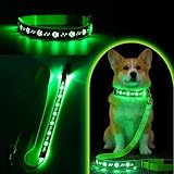 Lighted Dog Collar and Leash Set, 5FT USB-C Rechargeable LED Dog Leash with Glowing Collar, 3 Lighting Modes, Padded Handle & Waterproof, High Visibility Safety Gear for Night Walking (Green, Large)