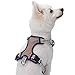 Blueberry Pet 9 Colors Soft & Comfy 3M Reflective Multi-Colored Stripe Mesh Padded No Pull Dog Harness Vest with Back Leash Clips, Small, Olive & Blue-Gray