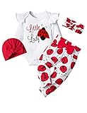 BAVADER Baby Girl Clothes 0-3 Months Baby Clothes for Girls Long Sleeve Romper Pant Sets Ladybug Baby Girl Outfits 0-3 Months Baby Girl Clothes Little Lady