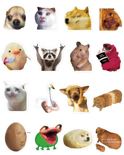 Funny Meme Fridge Magnets Set – 16 Pcs Cute Fun & Hilarious Animal Magnet for Kitchen Fridge, Dorm Room, or Office – Gift for Teens and Adults Who Love Viral Memes (Cat)