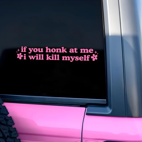 If You Honk at Me I Will K*ll Myself Car Decal Funny Flower Mental Health Unhinged Joke Humor Car Window Mirror Decal Accessories Vinyl Waterproof 8 Inches Bumper Sticker Gifts for Mom Dad Friend