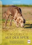 Dem Geruch auf der Spur: Geruchssinn verstehen bei Hund und Mensch
