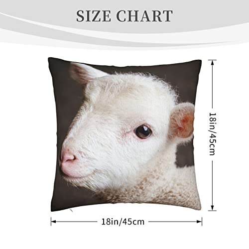Varun Square Throw Pillow Covers Lovely White Lamb Pillow Cases Decorative For Home Bedroom Sofa Sheep Farm Animal Dark Background Creative Print Pillowcases Standard Size 18X18 Inch #TOP1
