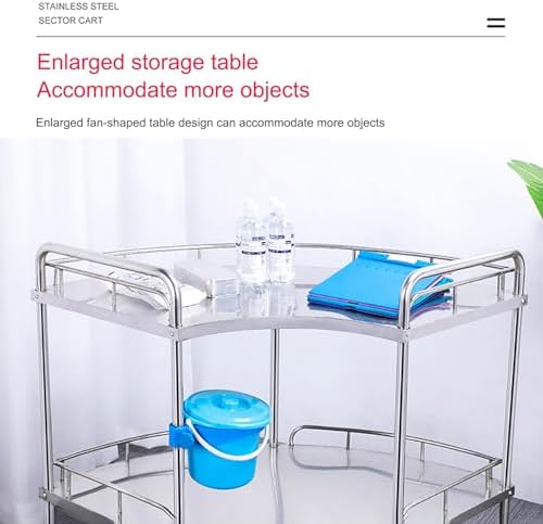 Collapsible Wagon Cart with Wheels Foldable Folding Wagons Carts Silent Universal Wheels,Mobile Medical Trolley Cart with Swivel Casters, 2-Tier Stainless Steel Utility Cart for Salon, Spa,