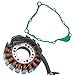 Caltric Stator and Gasket Compatible With Yamaha Timberwolf 250 Yfb250 Yfb-250 2Wd 1994-1996 1997 1999