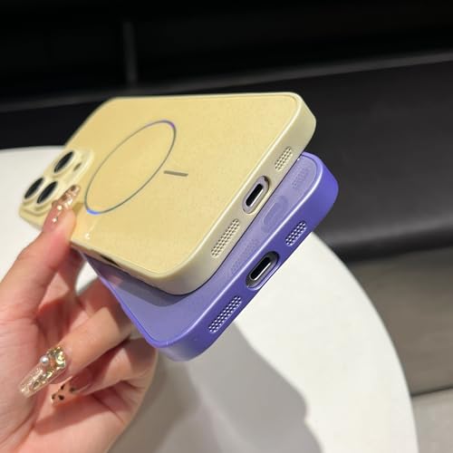 Compatible MagSafe iPhone 16 Pro Max étui magnétique marron à paillettes