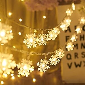 Rock Ninja Snowflake Fairy Lights, 6M 40LEDS Battery Powered String Lights, Staring and Shining Mode for Xmas Wedding…