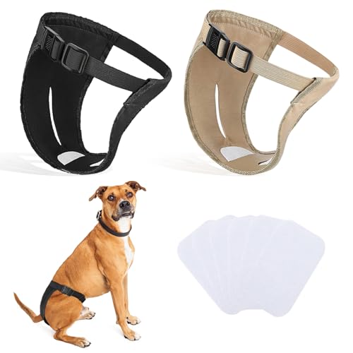 Dog Pants XL - 2 Pack with Sanitary Pads