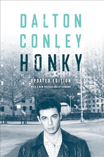 Honky view 2