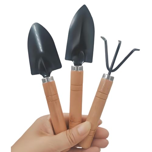 3 Pcs Mini Garden Tools Set Small Tiny Shovel Trow