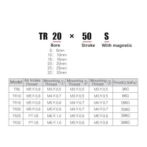 Cylindre TR16 double tige pour automatiser votre atelier - 3