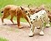 Gemini&Genius Lynx Snow Leopard Toys Set for Kids, Forest Animals Toy Figures, Woodland Animals, Wildlife Figurines, Cake Toppers, Display, Education, Play Toys for Kids Toddlers