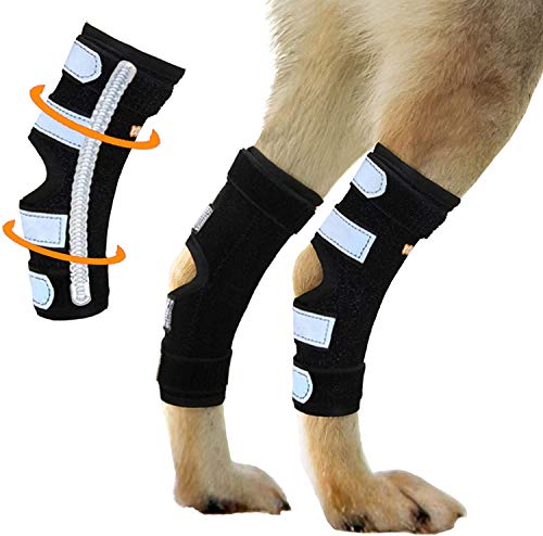 NeoAlly Dog Canine Braces for Rear Legs Super Supportive with Dual Metal Spring Inserts to Stabilize Dog Hind Legs, Help Dogs with Injuries, Sprains, Arthritis, ACL (L Pair)