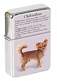Chien Chihuahua Clapet Haut Briquet