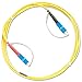 Fluke Networks SRC-9-SCSC Singlemode Test Reference Cord for Testing SC Terminated Fibers