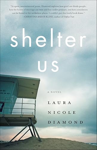 Shelter Us: A Novel