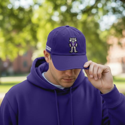 Desert Cactus Northwestern University Gorra de Béisbol miniatura 5