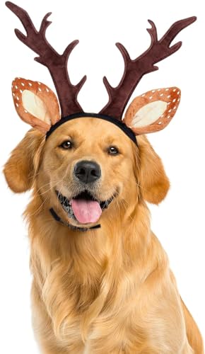 Fascia per animali domestici di natale