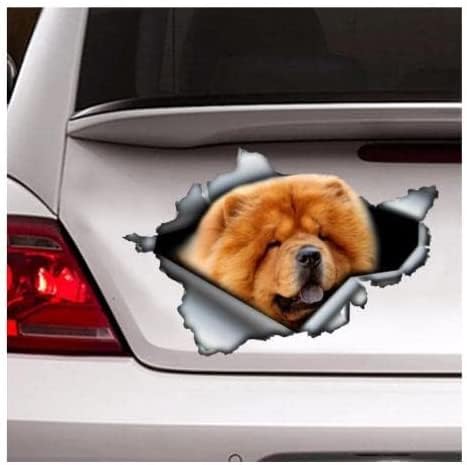 ✔ Adesivi per l'uso come - Adesivi auto, Adesivi paraurti, Adesivi finestre, Adesivi per finestre auto, Adesivi laptop, Adesivi casco, Adesivi murali, Adesivi frigorifero congelatore, Adesivi per piastrelle, Adesivi per contenitori Wheelie, Adesivi per bambini, Adesivi specchio, Adesivi specchio ala, Adesivi in vinile, Decorazioni Halloween