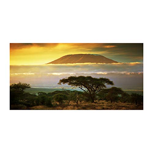 Tableau pour mur vide salon paysage Kilimanjaro Kenya jaune cadre grand format
