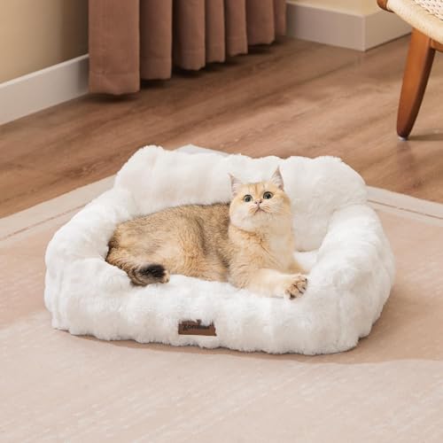 ZOMISIA Orthopedic Cat Couch Bed for Indoor Cats, Cute Pet