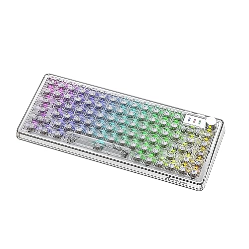 MAMBASNAKE K75JjJL[{[hKXzbgXbvBluetooth /2.4G/USB-Cڑ3[h GSKET\Xy[Xo[ obNCgt ho L[Lbv S`F[RGB MXSL[RtNgt[ pz
