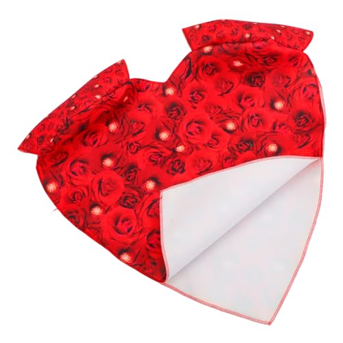 Costume Cœur de Cosplay haut de gamme tenue romantique de scène fluide