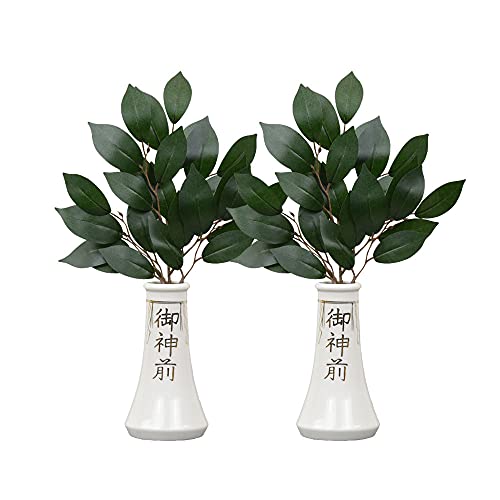 d̂͂ _ 嗧  5.0 Zbg  嗧 傽 _I 