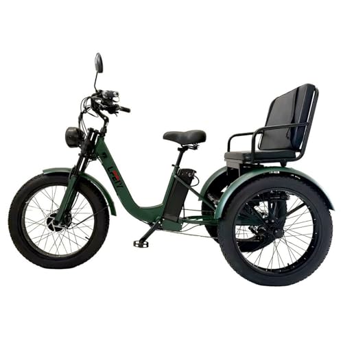 flatpincololee Elektro Dreirad Fahrrad Erwachsene, 3 Räder Kippsicher Design, rutschfeste Reifen 24 20 Zoll, Großer Transportkorb, für Einkäufe, Arbeit, Freizeit und tägliche Mobilität Green