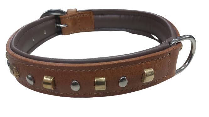Dog Collar Belts Premium Leather Puppy Size Neck 17x20.5 inch and Width 1 inch (B0CGVZ6K6L) Amazon Price History, Amazon Price Tracker