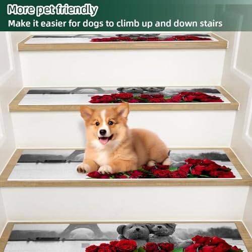 Peldaños de escalera para proteger niños y madera, pack de 15 alfombras decorativas de París 6