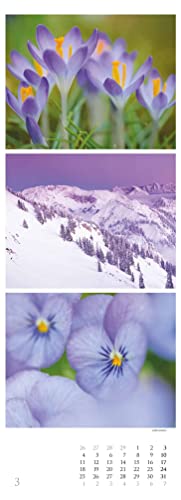 Colours of Nature Triplets 2024 Striped Calendar XXL 25 x 69 cm Picture Calendar in Portrait Format Nature Calendar Wall Planner - Image 4