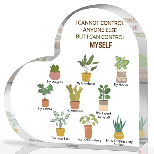 Decoración de salud mental, decoración de atención plena para oficina de terapia, regalos de corazón acrílico Things I Can Control, letrero de consejero escolar, decoraciones artísticas de terapeuta