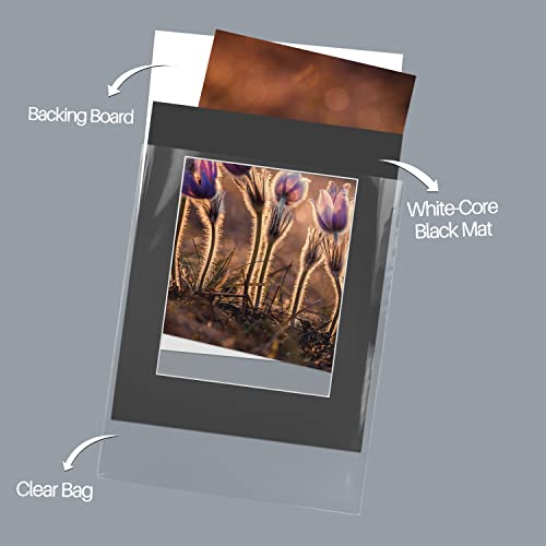 Golden State Art, Acid Free, Pack Of 10 11X14 Black Picture Mats Mattes With White Core Bevel Cut For 8X10 Photo + Backing + Bags #TOP18