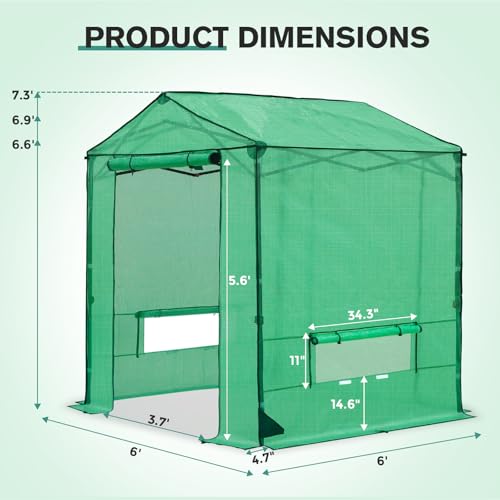 COOS BAY 6x6 Pop Up Greenhouse Outdoor, Walk in Garden Greenhouse with Power Access Openings, Zippered Doors & Windows, PE Cover, Green - Image 3