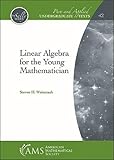 Linear Algebra for the Young Mathematician (Pure and Applied Undergraduate Texts)