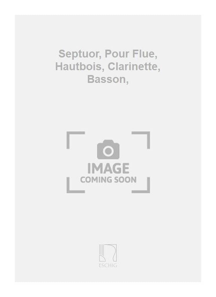Septuor pour flûte hautbois clarinette basson partition musique de chambre