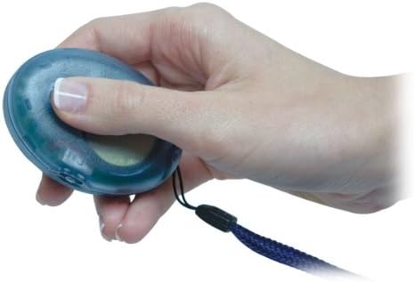 Digital Talking Compass - English-French Speaking