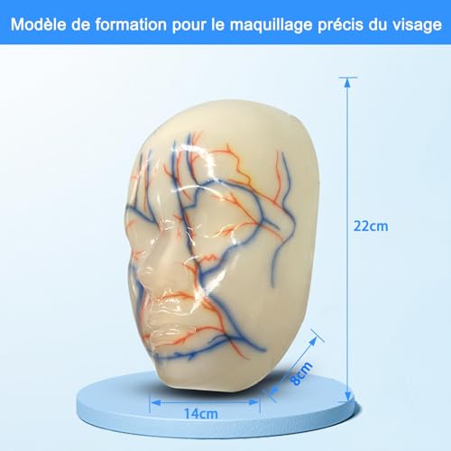 Modèle de formation en microcosmétique pour stopper les erreurs d'injection