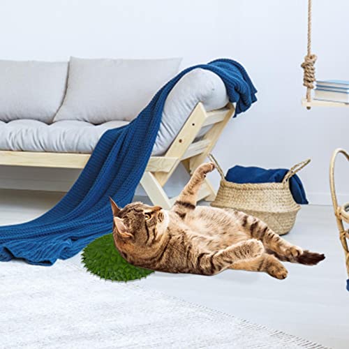 gato pare,Escova macia para cuidados com gatos | Acessórios para gatos massagem para gatos em forma