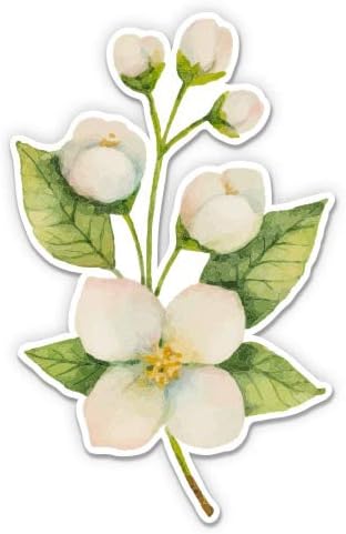 Jasmine Flowers - 3 Vinyl Sticker - for Car Laptop I-Pad Phone Helmet Hard Hat - Waterproof Decal