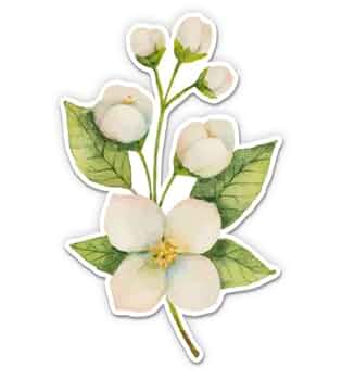 Jasmine♪❤️ JASMINE ZIP JACKET - STONE WASH – Bye Bambi