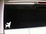 Chihuahua Silhouette 5.5