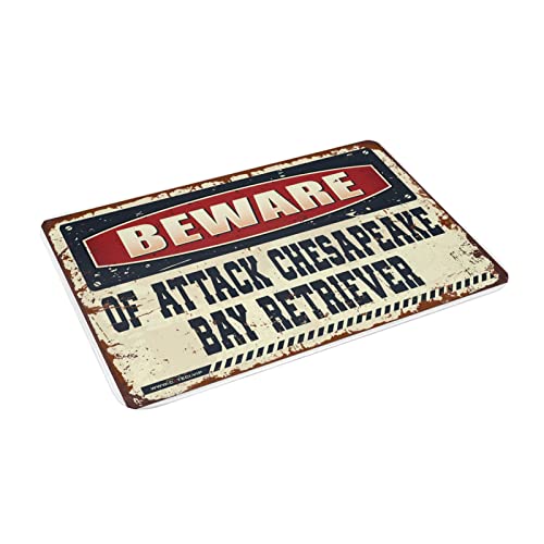 Grands paillassons pour entrée extérieure Chesapeake Bay Retriever tapis de porte extérieur 65x90cm - 3