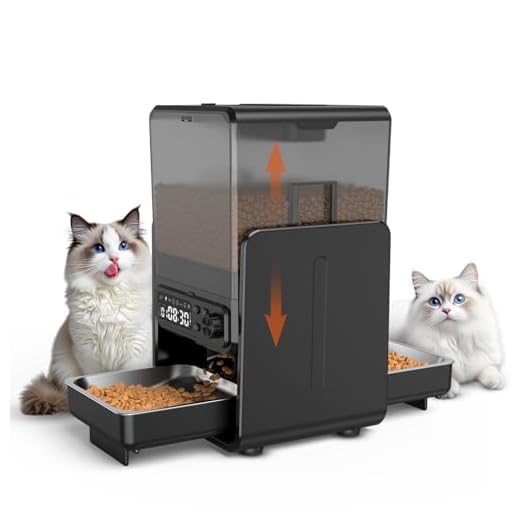 CityFlee Automatic Cat Feeder for Two Cats